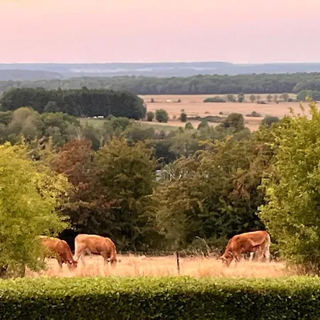 Chez Tantine Nadine Homestay Couvin